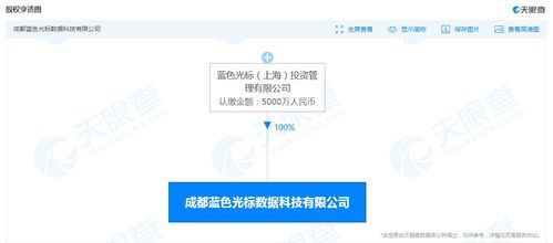 蓝色光标布局西南，成都新设数据科技公司加码大数据服务